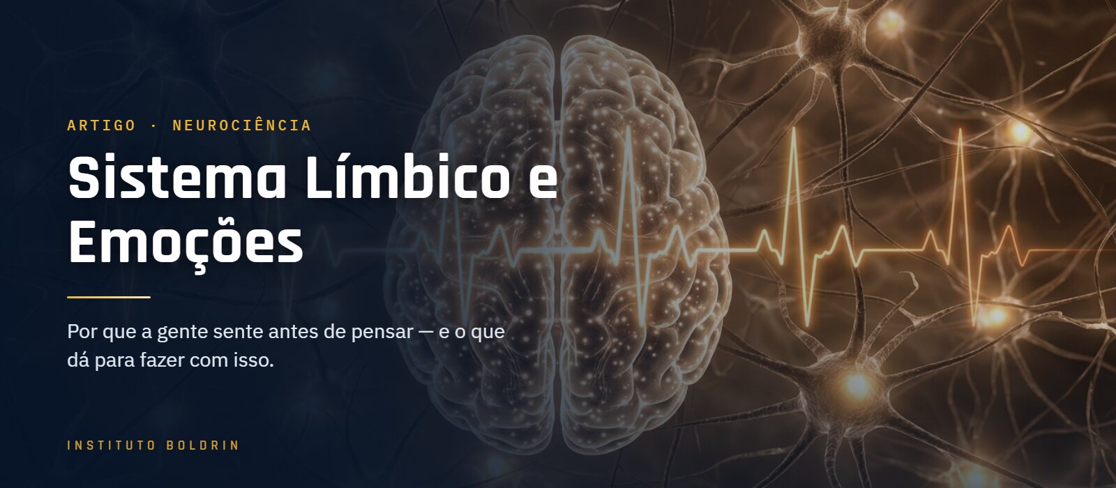 Sistema límbico e emoções — cérebro e neurônios